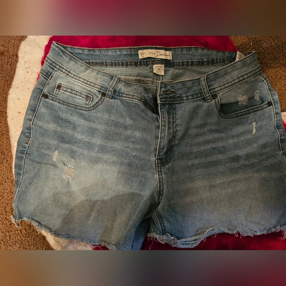 Cato Light Blue Distressed Jean Shorts